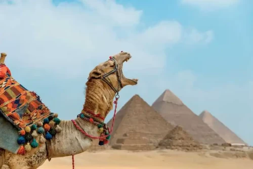 Egypt luxury tours