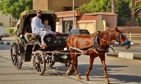 Luxor horse carriage night ride