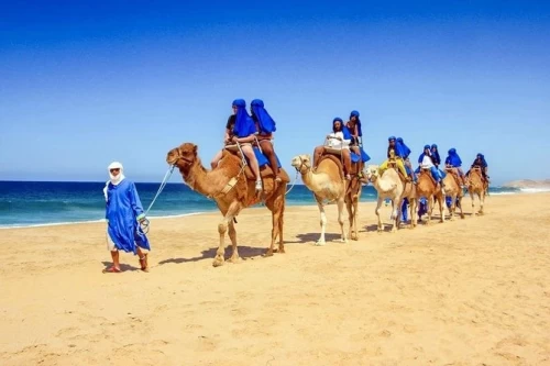 Camel Ride in Sharm El Sheikh