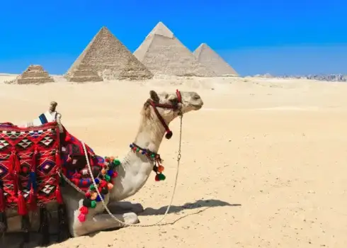 Tour giornalieri del Cairo