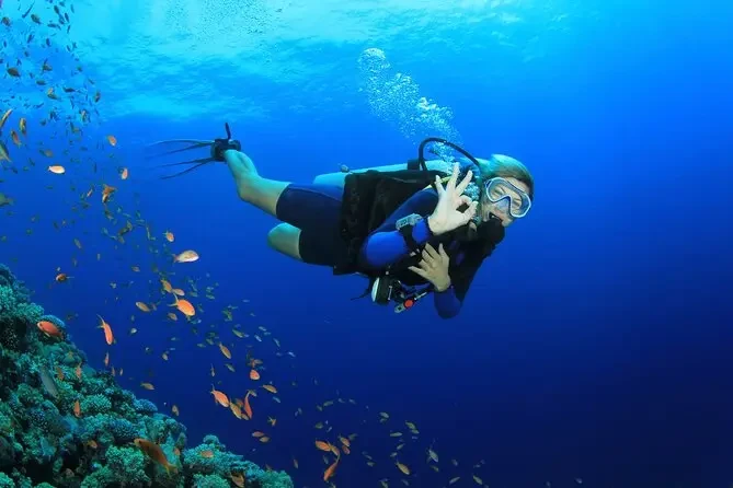 Escursione di snorkeling a Ras Mohamed da Sharm El Sheikh