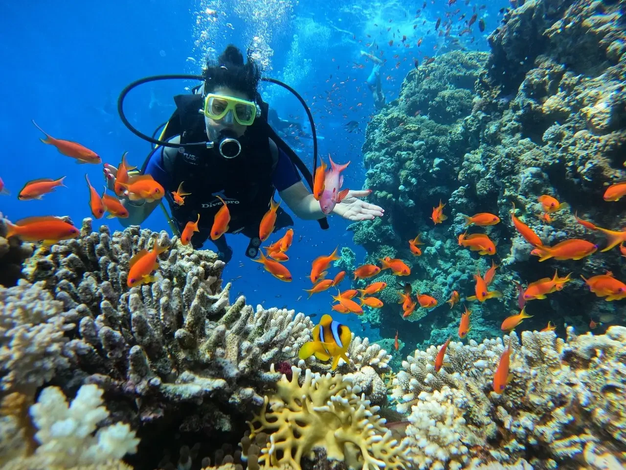 Escursione di snorkeling a Ras Mohamed da Sharm El Sheikh