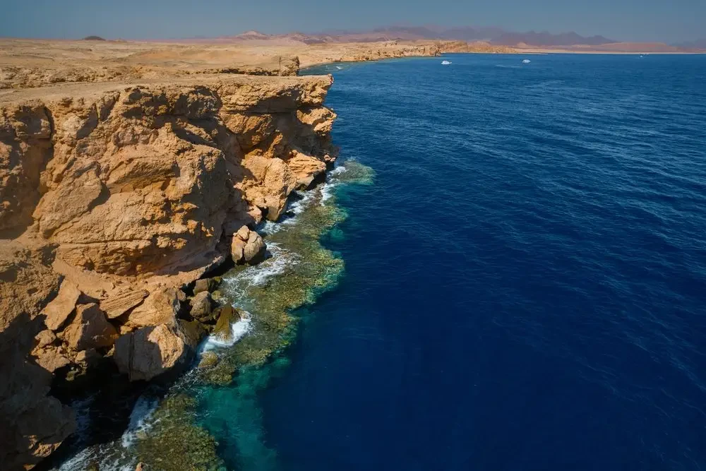 Escursione di snorkeling a Ras Mohamed da Sharm El Sheikh