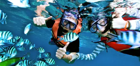 Escursione di snorkeling a Ras Mohamed da Sharm El Sheikh