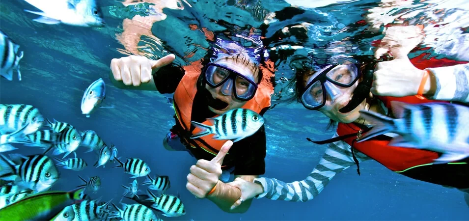 Escursione di snorkeling a Ras Mohamed da Sharm El Sheikh
