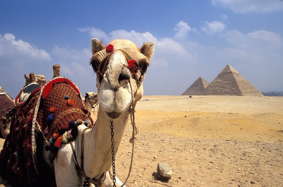 Tour delle Piramidi di Giza e del Museo Egizio