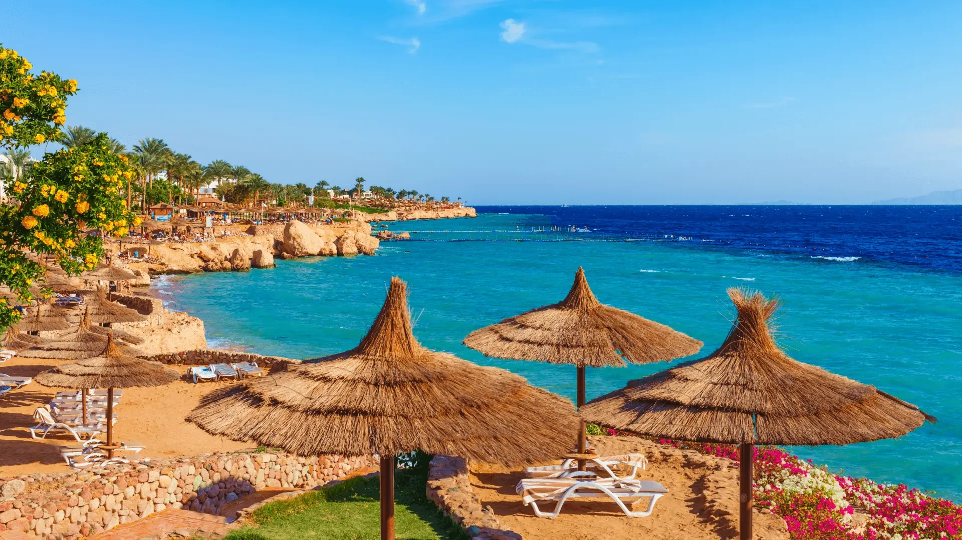 Tour di un'intera giornata a Dahab da Sharm El Sheikh