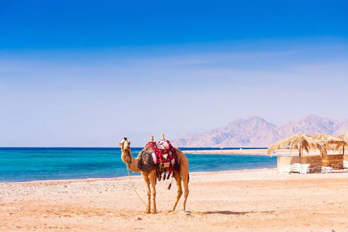 Cairo e Hurghada 8 giorni / 7 notti