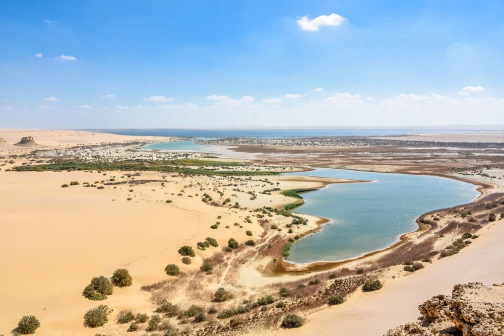 Tour di El Fayoum e Wadi El Rayan dal Cairo