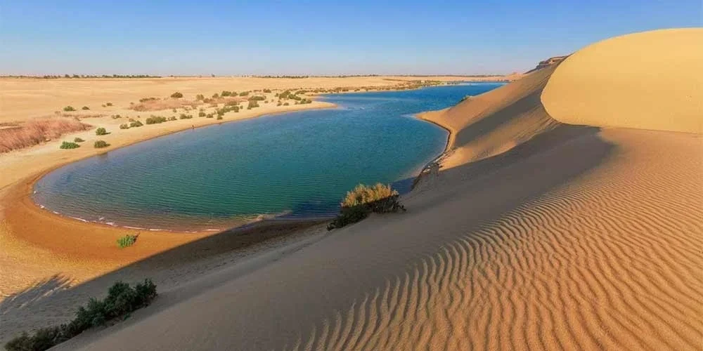 Tour di El Fayoum e Wadi El Rayan dal Cairo