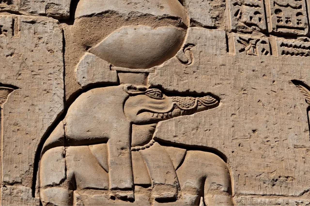 Gita di un giorno da Assuan ai templi di Edfu e Kom Ombo
