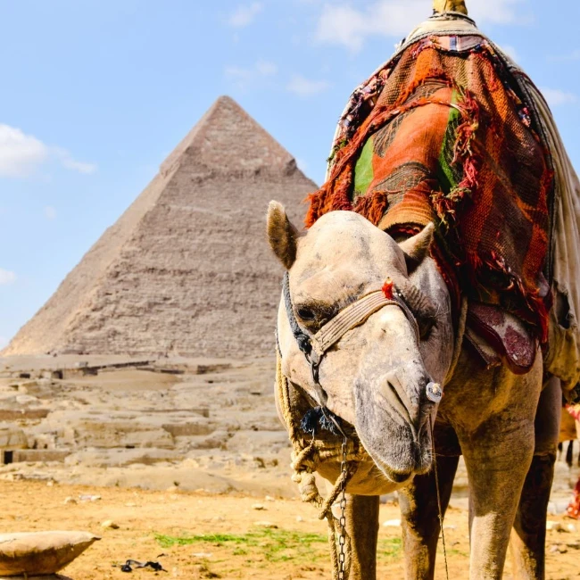Tour di Pasqua di 3 giorni al Cairo, Alessandria e Luxor