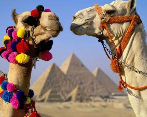 Tour di Pasqua di 3 giorni al Cairo, Alessandria e Luxor