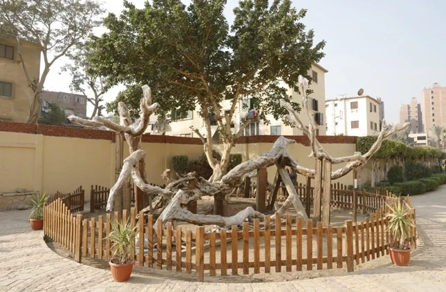 Tour spirituale del Cairo alla chiesa rupestre, alla cattedrale di San Marco e in crociera con cena