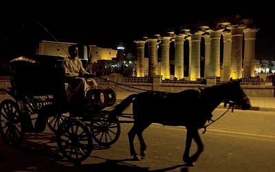 Tour notturno della città di Luxor in carrozza trainata da cavalli