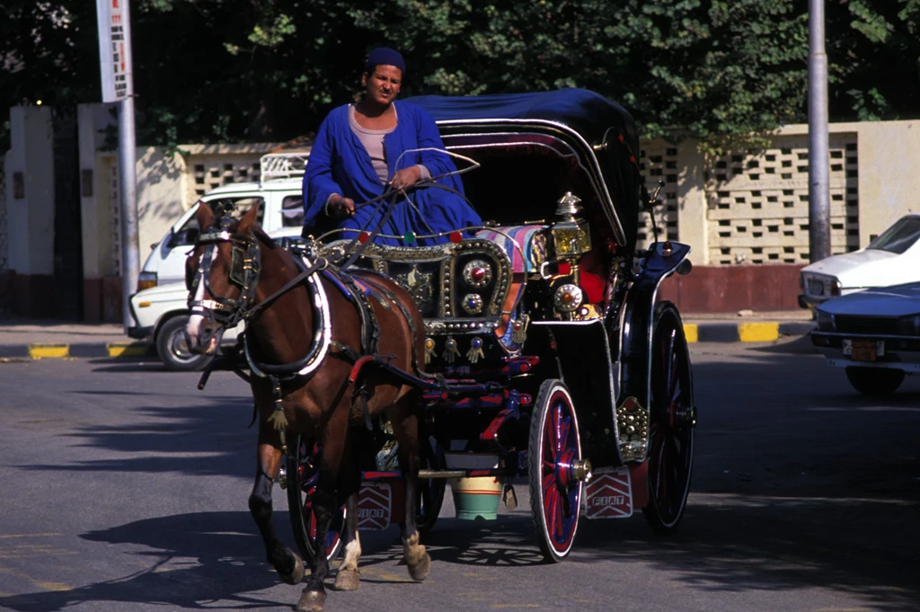 Tour notturno della città di Luxor in carrozza trainata da cavalli