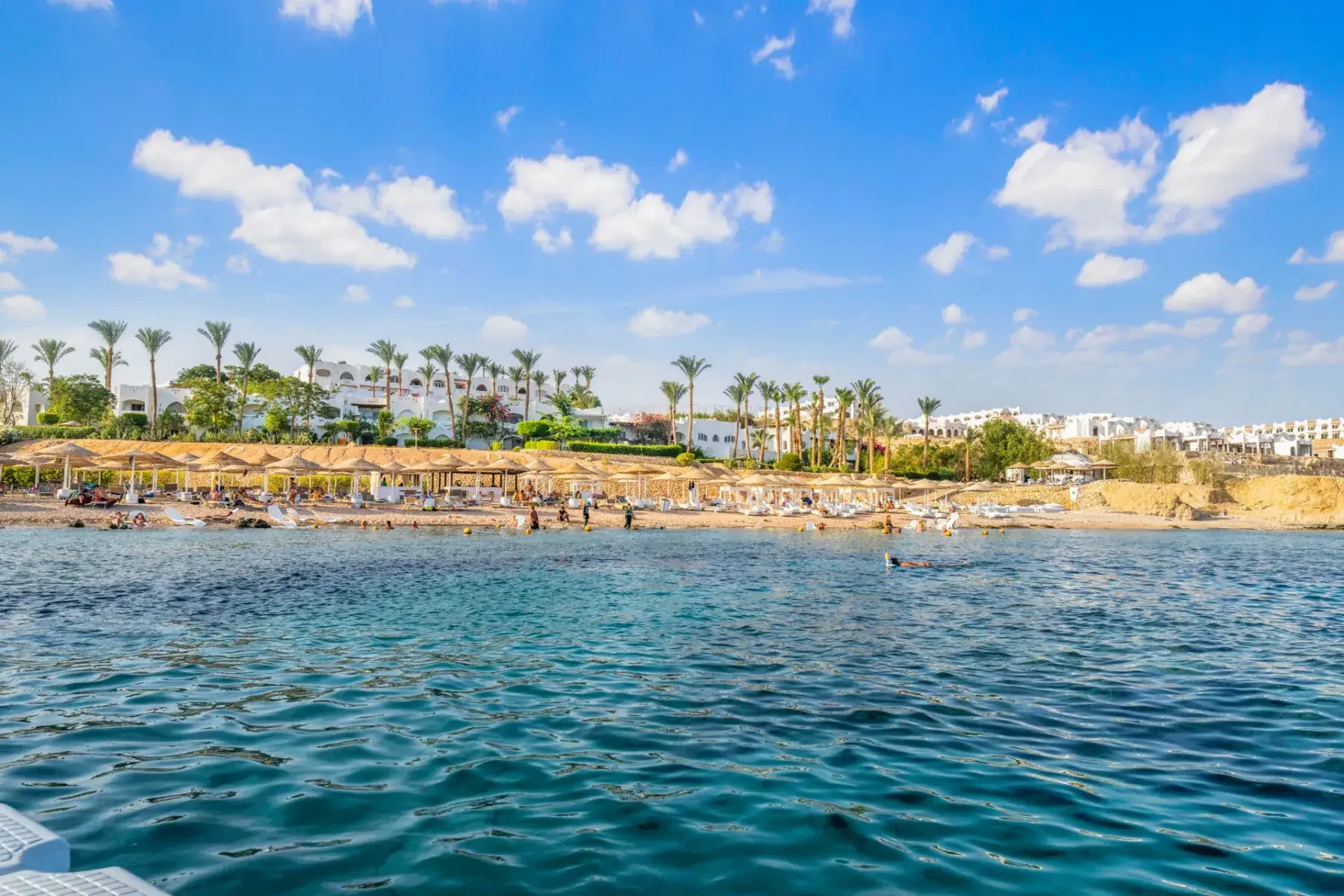 Crociera con cena in yacht a Sharm El Sheikh e spettacolo di danzatrici del ventre