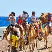 Tour di un giorno a Dahab e snorkeling al Blue Hole