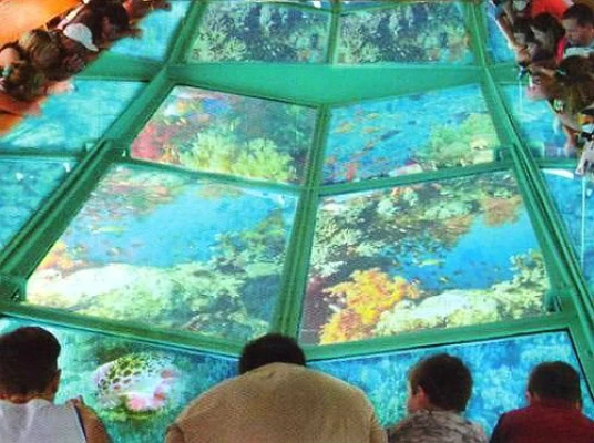 Crociera in barca con fondo di vetro e cena in barca a Sharm El Sheikh