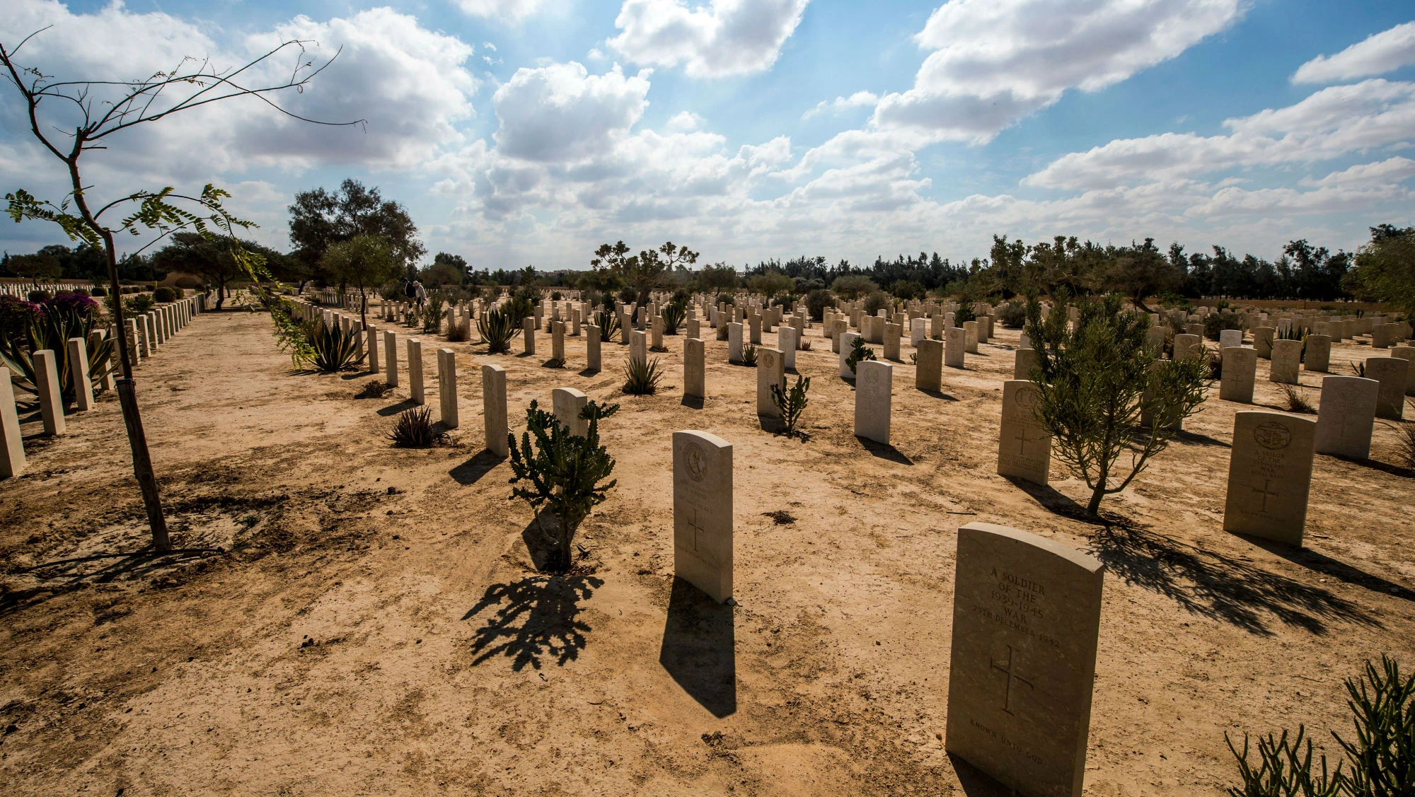Tour di visita di 16 giorni al Cairo ed esplora le coste dell'Egitto