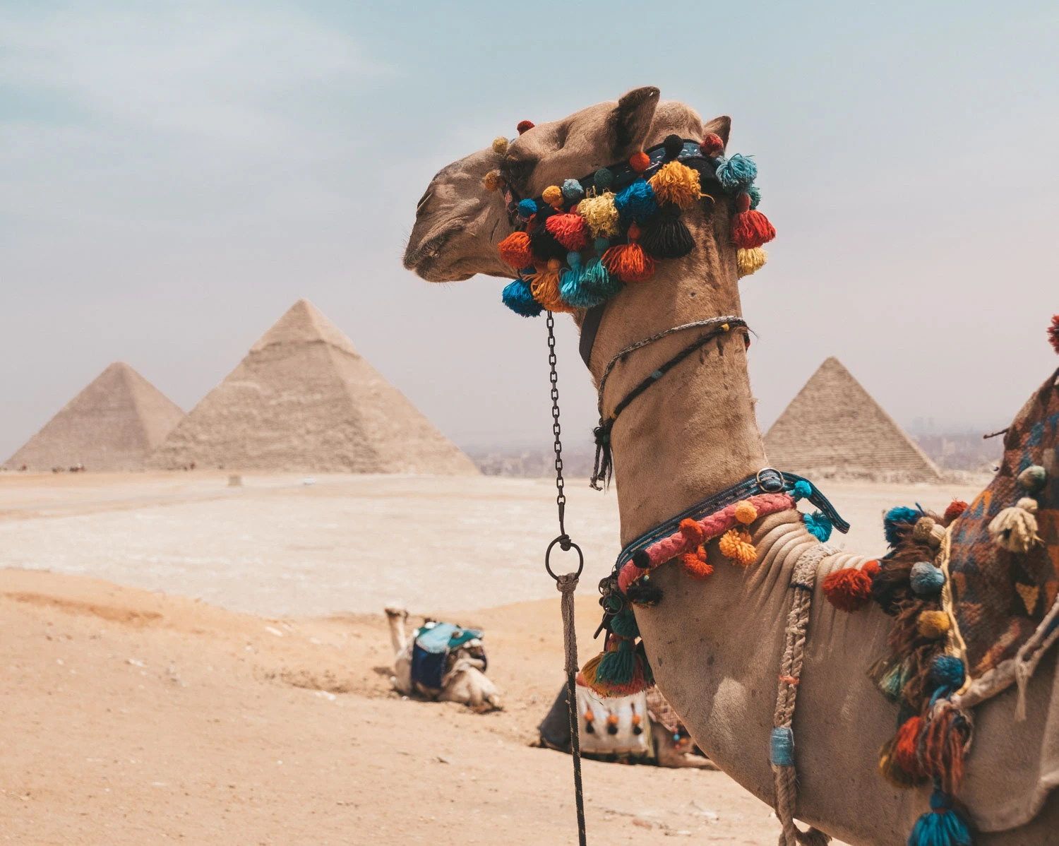 15 giorni alla scoperta del Cairo, Assuan, Luxor, Hurghada e Marsa Alam