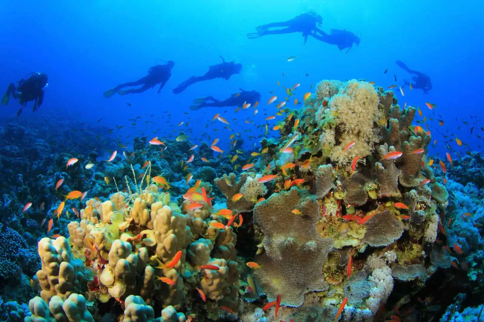 15 giorni alla scoperta del Cairo, Assuan, Luxor, Hurghada e Marsa Alam