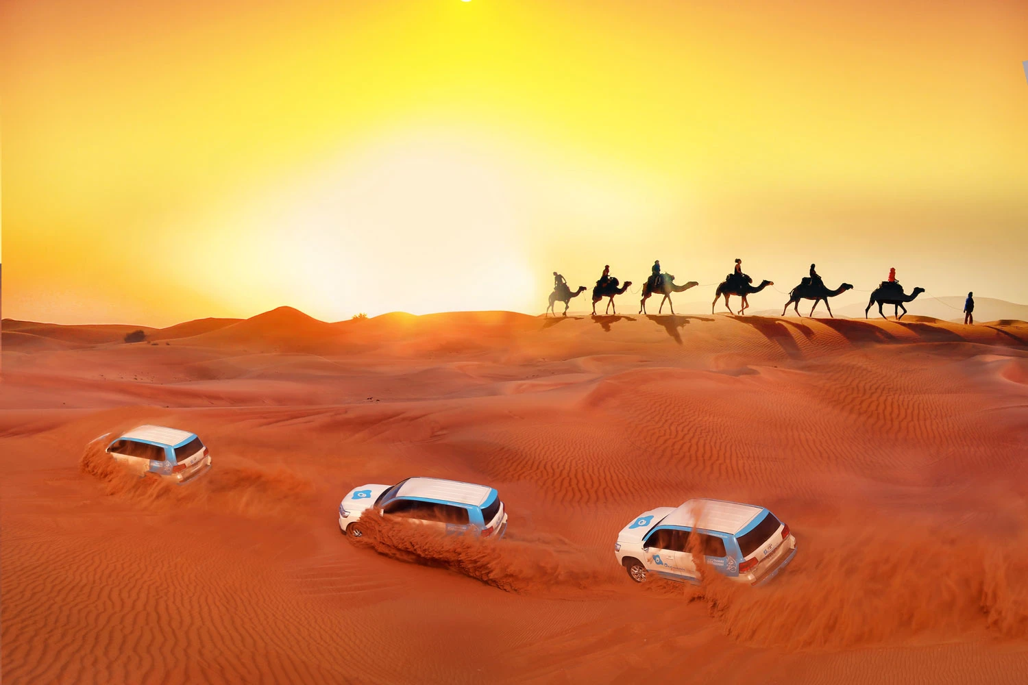 15 giorni alla scoperta del Cairo, Assuan, Luxor, Hurghada e Marsa Alam