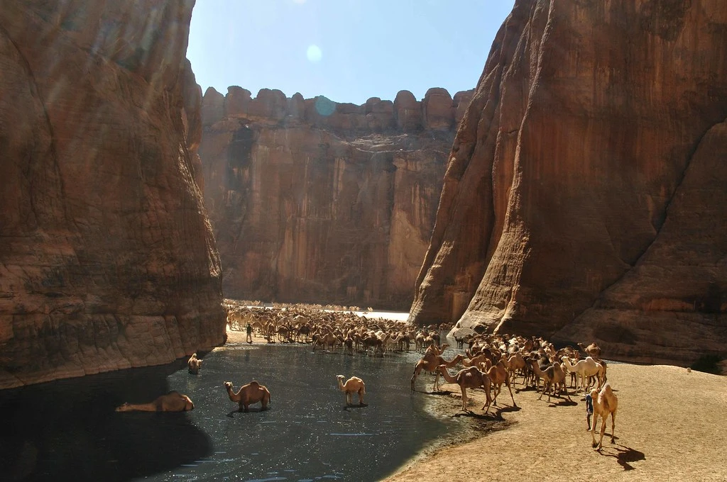 15 giorni alla scoperta del Cairo, Assuan, Luxor, Hurghada e Marsa Alam
