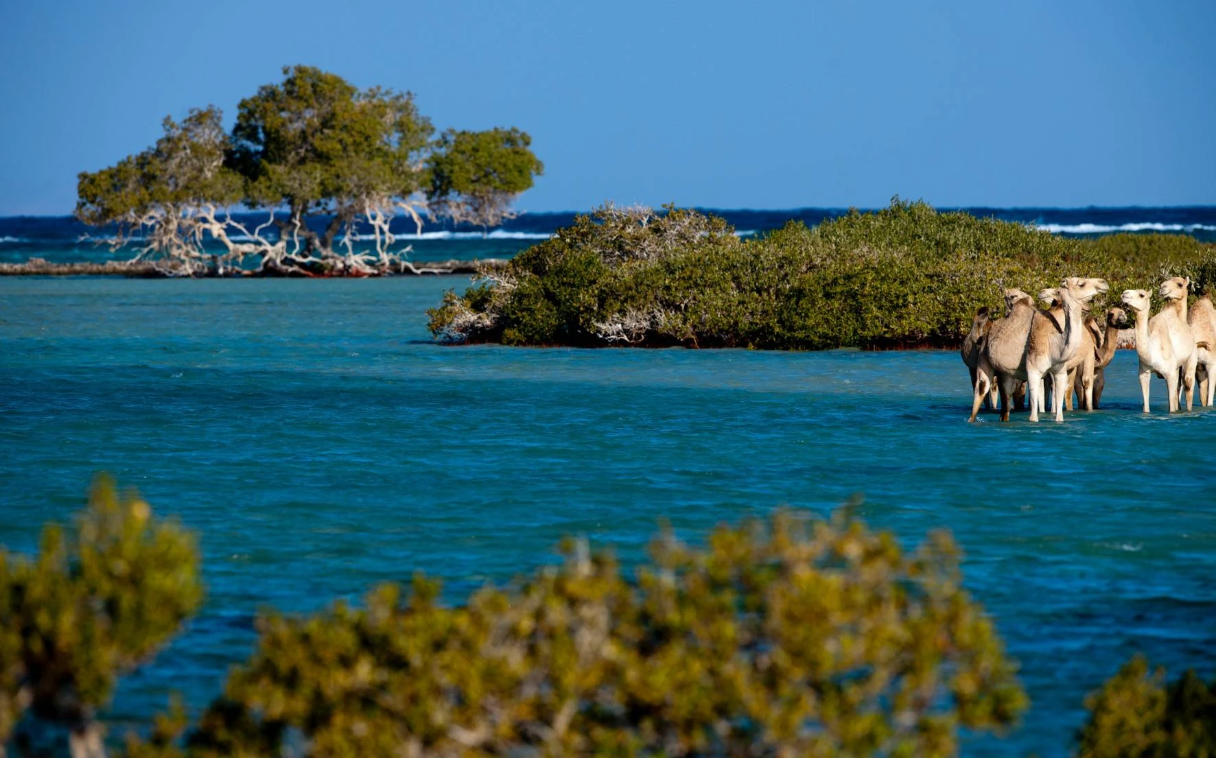 15 giorni alla scoperta del Cairo, Assuan, Luxor, Hurghada e Marsa Alam