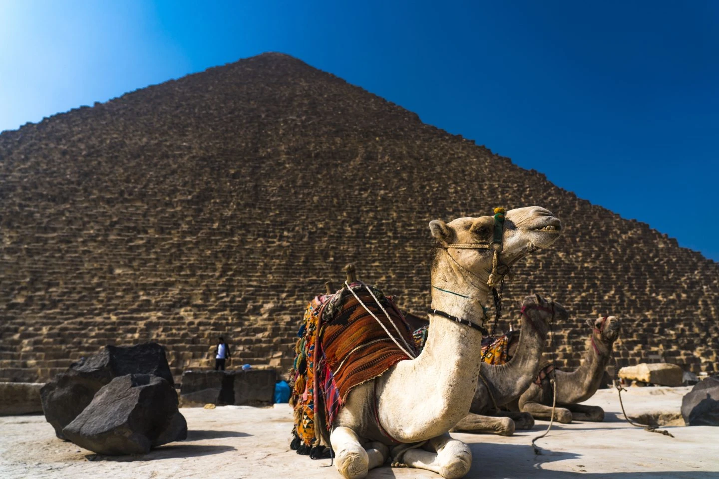 Tour alla scoperta dell'Egitto di 9 giorni con crociera al Cairo e sul Nilo