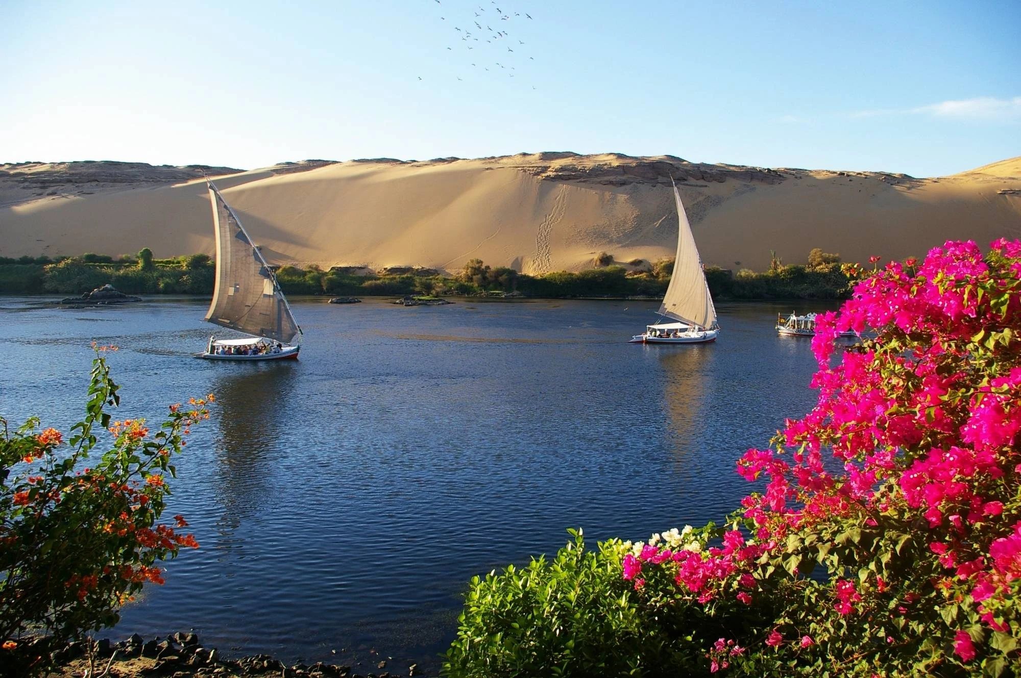 11 giorni alla scoperta del Cairo e della crociera sul Nilo