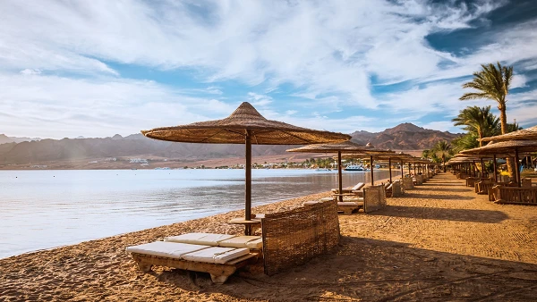 Viaggio di 8 giorni attraverso il Cairo, Alessandria e Hurghada