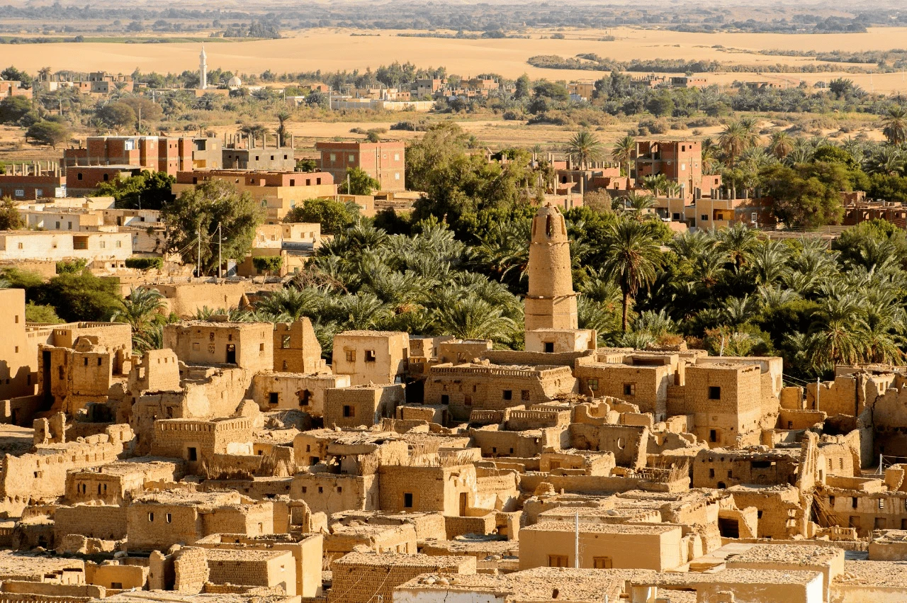 Avventura in Egitto di 15 giorni: oasi di Siwa, Luxor e esperienza ad Assuan