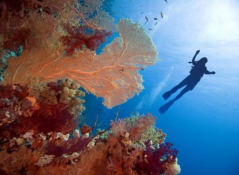Tour classico di 7 giorni in Egitto: esplora il Cairo e Sharm El Sheikh