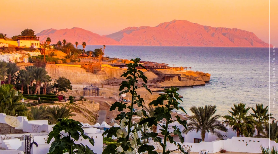 Tour classico di 7 giorni in Egitto: esplora il Cairo e Sharm El Sheikh