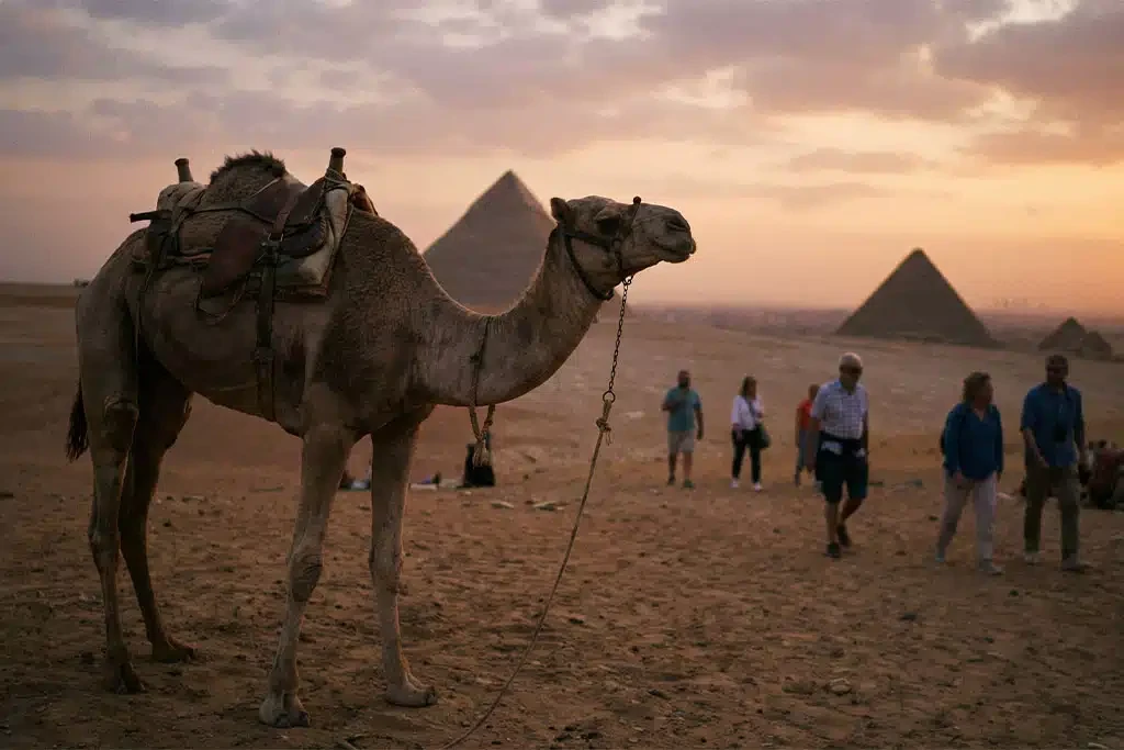 Tour classico di 7 giorni in Egitto: esplora il Cairo e Sharm El Sheikh