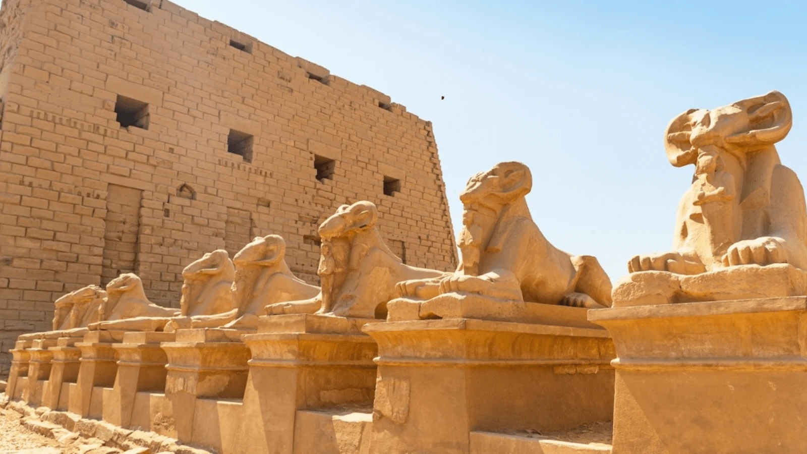 Tour economico di 7 notti / 8 giorni al Cairo, Luxor e Assuan