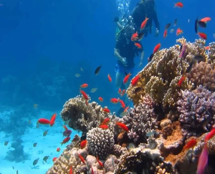 Cairo and Sharm El Sheikh Easter Package - 5 Days