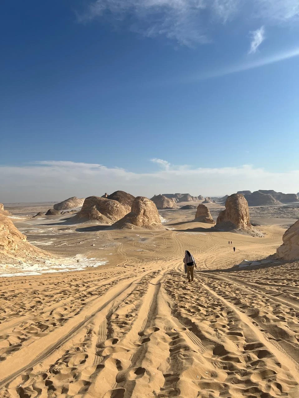 Safari nell'Oasi di Bahariya di 1 notte e 2 giorni