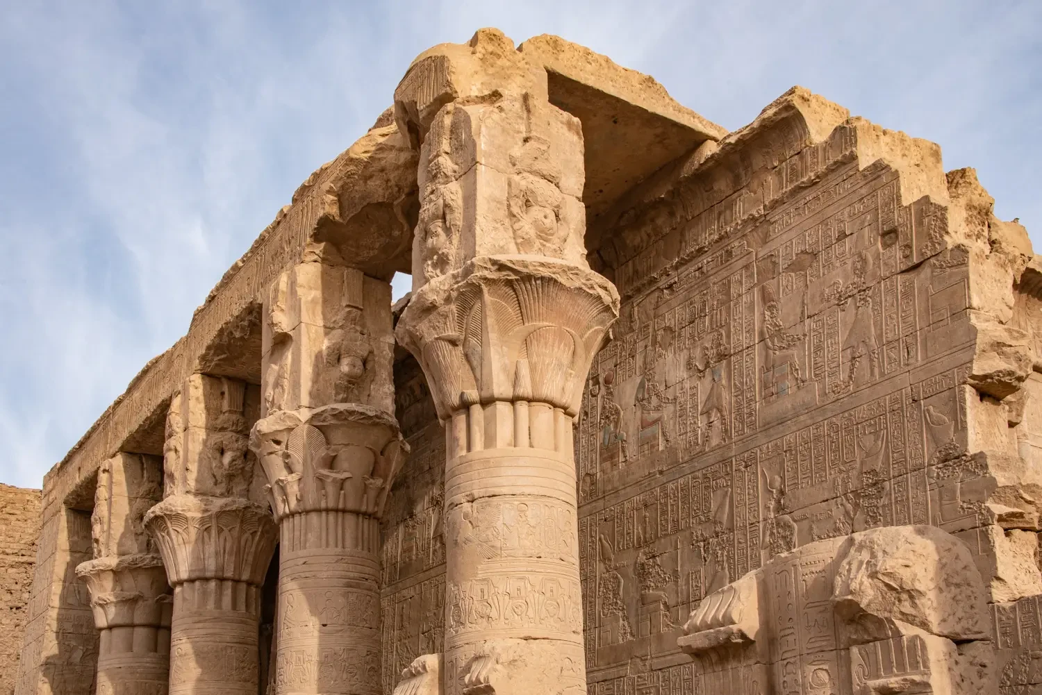 Tour di un giorno ai templi di Edfu e Kom Ombo da Assuan