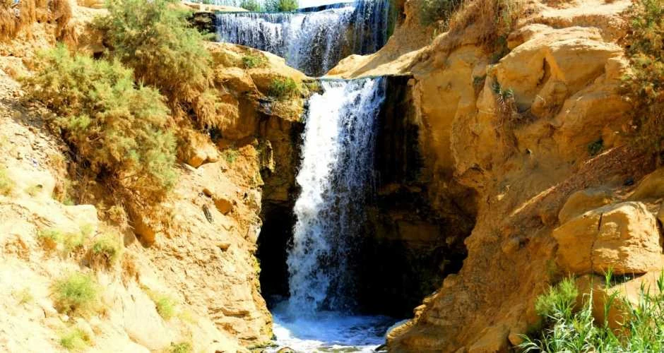 Tour di un giorno dal Cairo a Fayoum e Wadi El Hitan