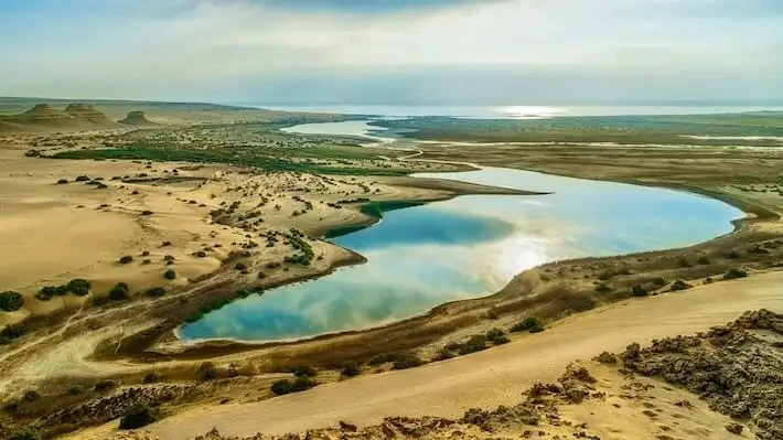Tour di un giorno dal Cairo a Fayoum e Wadi El Hitan