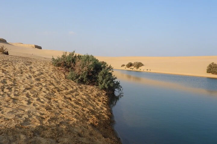 Tour di un giorno all'Oasi di Fayoum dal Cairo