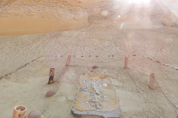 Tour di un giorno all'Oasi di Fayoum dal Cairo
