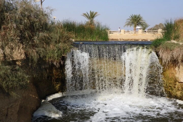 Tour di un giorno all'Oasi di Fayoum dal Cairo