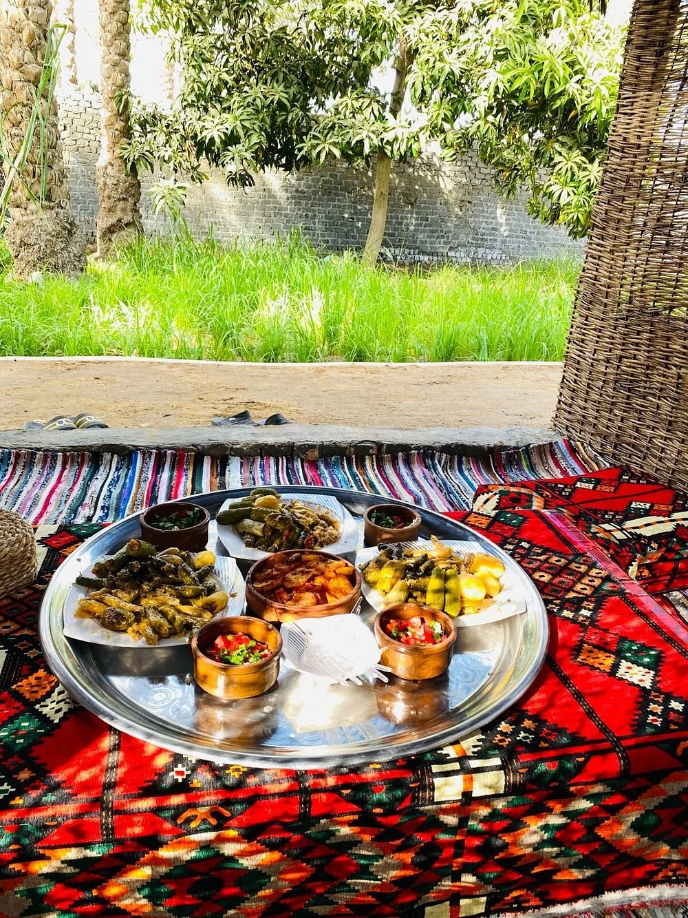 Tour di un giorno all'Oasi di Fayoum dal Cairo