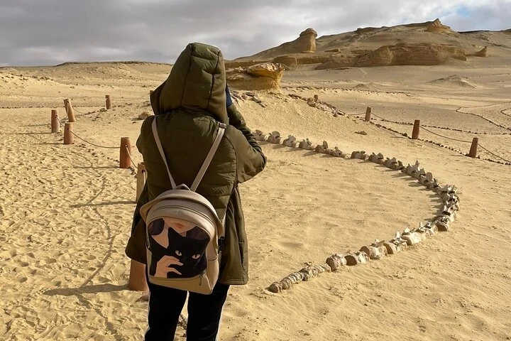 Gita di un giorno dal Cairo a Wadi El Hitan e all'oasi di Fayoum