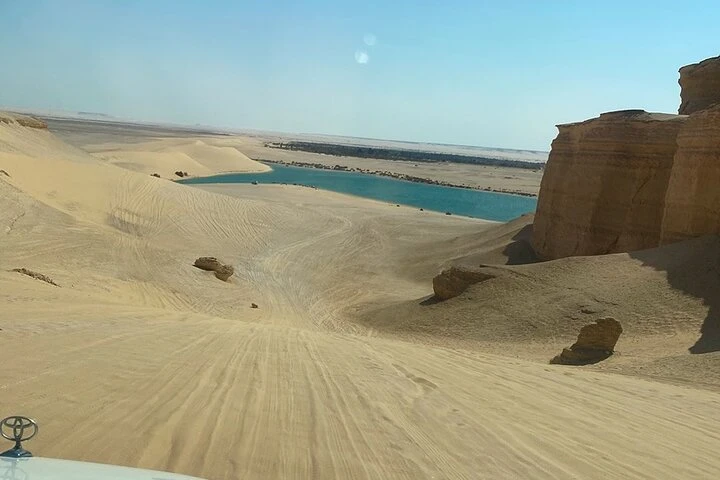 Gita di un giorno dal Cairo a Wadi El Hitan e all'oasi di Fayoum
