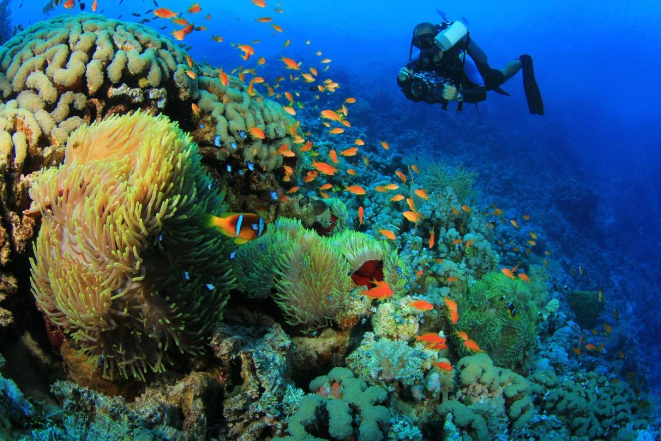 Avventura in Egitto per viaggiatori sordi e muti