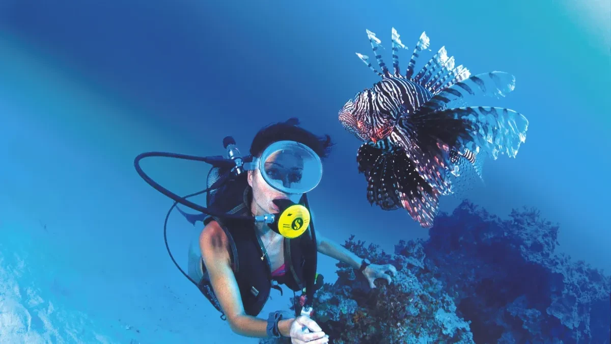 Immersioni a Sharm El Sheikh